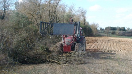 maquina recollidora de rames treballant en finca agricola